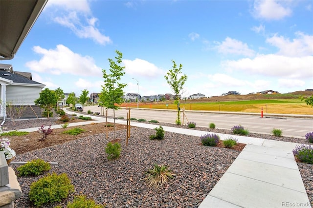 8057 Monte Vista Cir, Littleton, CO 80125 - view of yard with a residential view