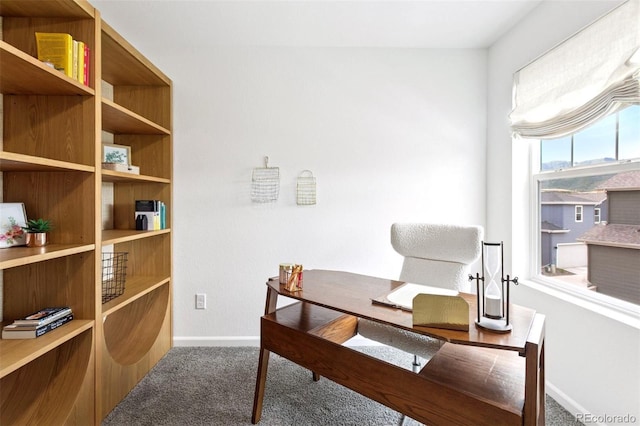 8057 Monte Vista Cir, Littleton, CO 80125 - office featuring carpet flooring and baseboards