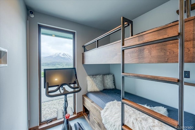 421 Z Rd, Silverthorne, CO 80498 - view of bedroom