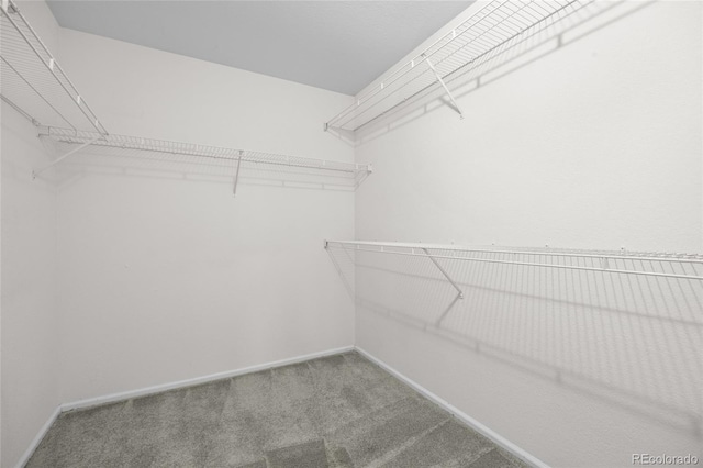 3087 Deer Creek Trl, Highlands Ranch, CO 80129 - spacious closet featuring carpet floors
