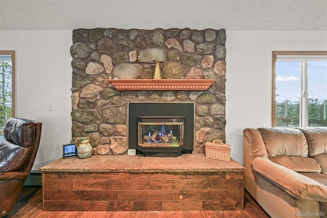 2169 Vigilante Ave, Bailey, CO 80421 - living room with a fireplace, wood finished floors, a textured ceiling, and baseboard heating
