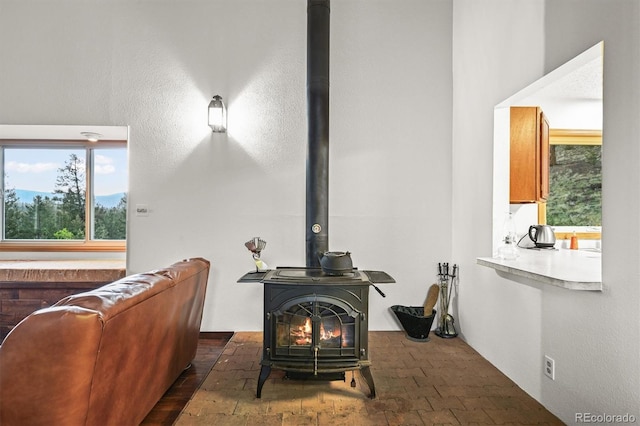 2169 Vigilante Ave, Bailey, CO 80421 - living room featuring a wood stove and brick floors