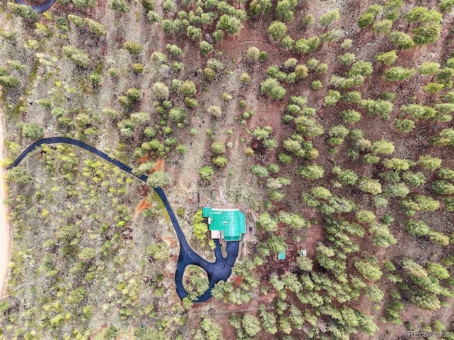 2169 Vigilante Ave, Bailey, CO 80421 - bird's eye view