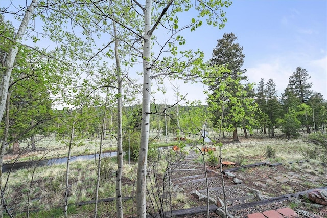 2169 Vigilante Ave, Bailey, CO 80421 - view of local wilderness