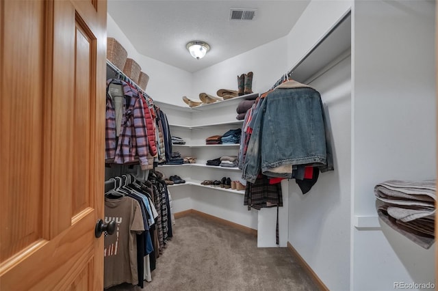 walk in closet featuring carpet and visible vents