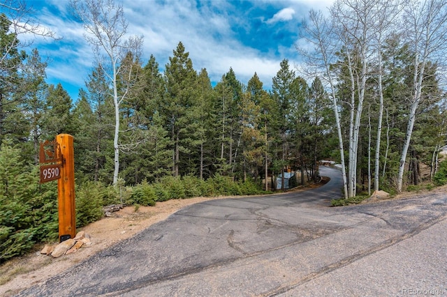 view of road with a forest view