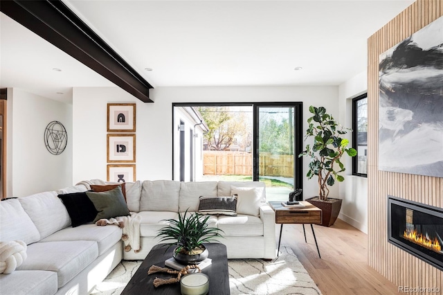 living room featuring light hardwood / wood-style flooring