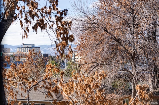 view of local wilderness with a mountain view