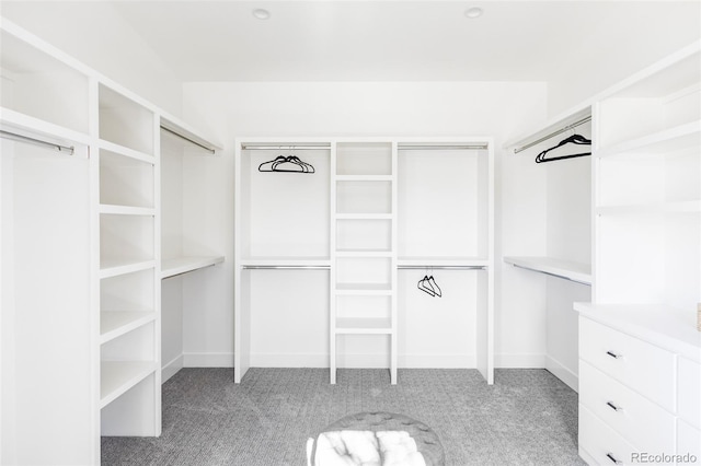 spacious closet with light carpet