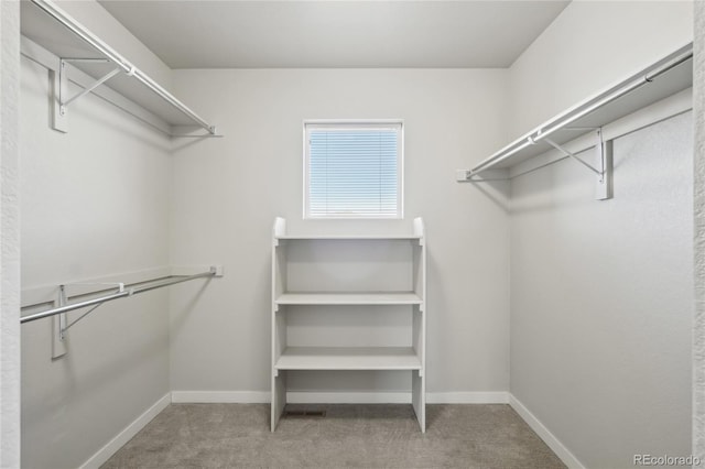 spacious closet with carpet