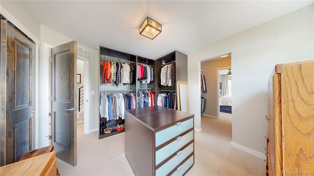 1426 S Pearl St, Denver, CO 80210 - spacious closet featuring light colored carpet