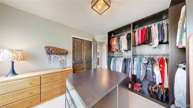 1426 S Pearl St, Denver, CO 80210 - view of spacious closet