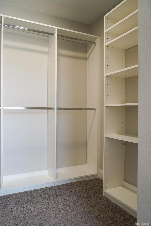 2879 W Parkside Pl, Denver, CO 80221 - photo 12