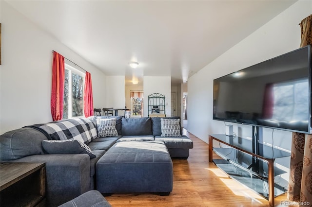 living room featuring hardwood / wood-style floors