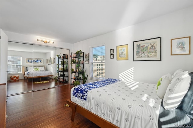 bedroom featuring dark wood-type flooring, a closet, and multiple windows