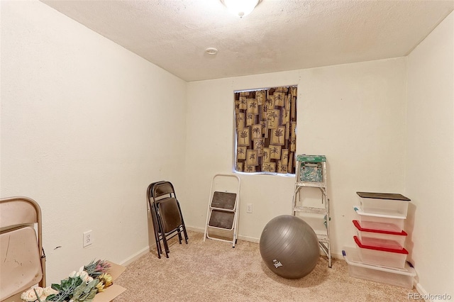 misc room with baseboards, a textured ceiling, and light colored carpet