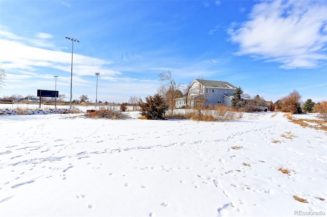 view of snowy yard