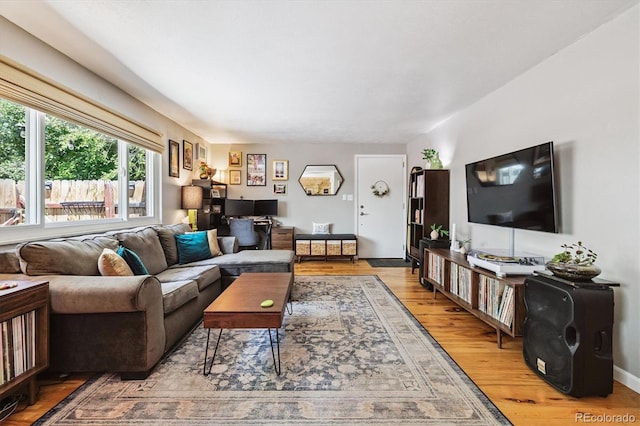 7905 Lowell Blvd Unit B, Westminster, CO 80030 - living area with light wood finished floors and baseboards