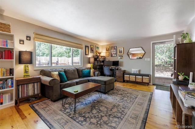7905 Lowell Blvd Unit B, Westminster, CO 80030 - living room featuring plenty of natural light and light wood finished floors