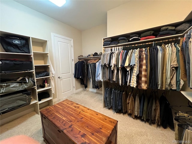 walk in closet with light carpet