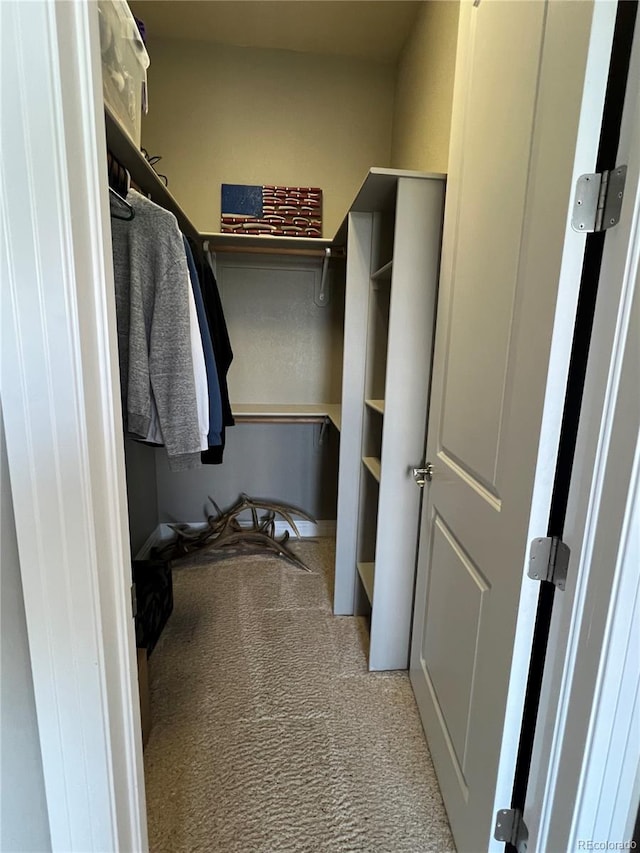 walk in closet featuring light colored carpet