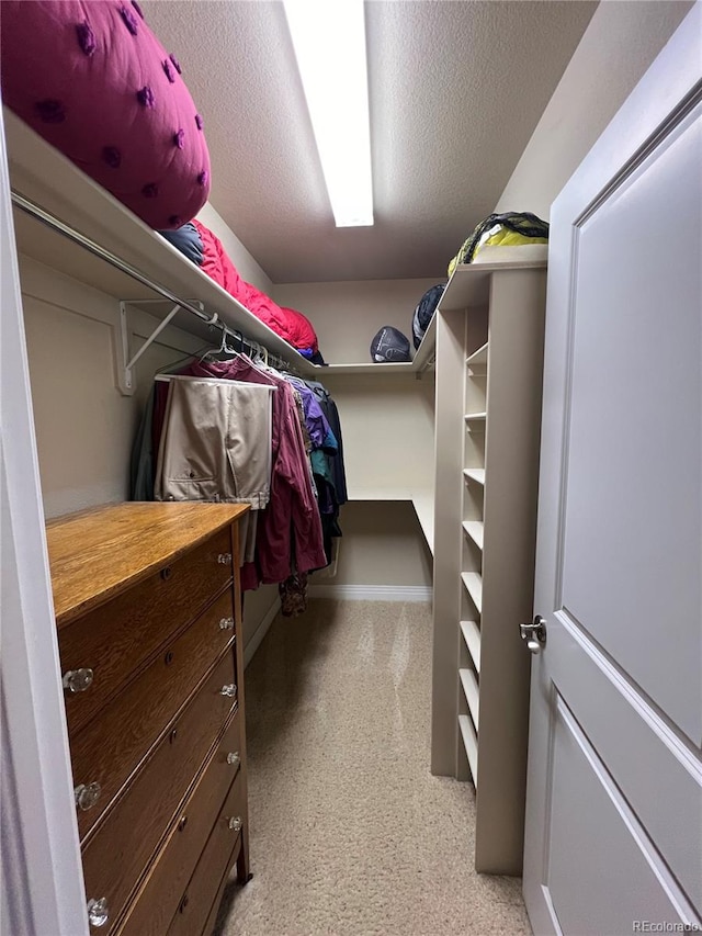 spacious closet featuring light colored carpet