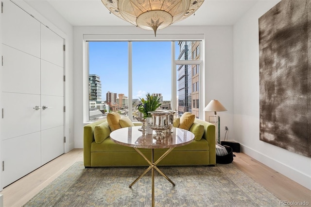 155 Steele St Unit 418, Denver, CO 80206 - living area featuring wood finished floors, baseboards, and a city view