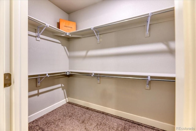 561 Beaver Creek Ct, Brighton, CO 80601 - photo 25