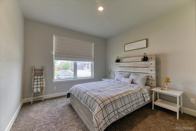 561 Beaver Creek Ct, Brighton, CO 80601 - photo 28