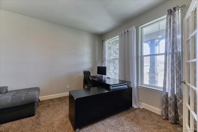 561 Beaver Creek Ct, Brighton, CO 80601 - photo 29