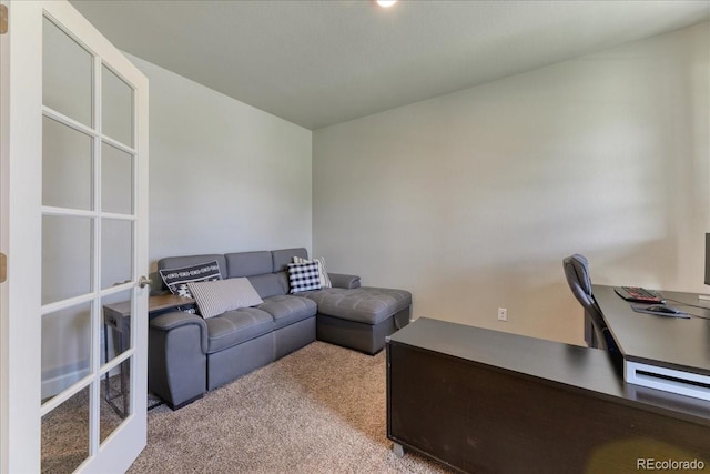 561 Beaver Creek Ct, Brighton, CO 80601 - photo 30