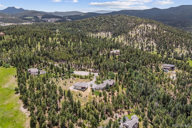 26887 Evergreen Springs Rd, Evergreen, CO 80439 - photo 46