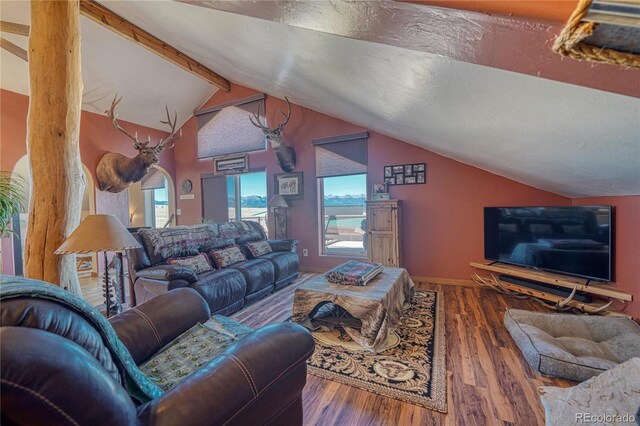 1120 County Road 322, Westcliffe, CO 81252 - living room with plenty of natural light, wood finished floors, and baseboards