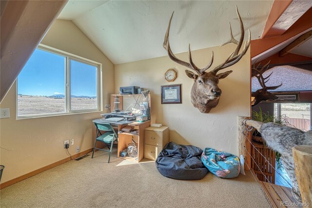 1120 County Road 322, Westcliffe, CO 81252 - carpeted home office with lofted ceiling and baseboards