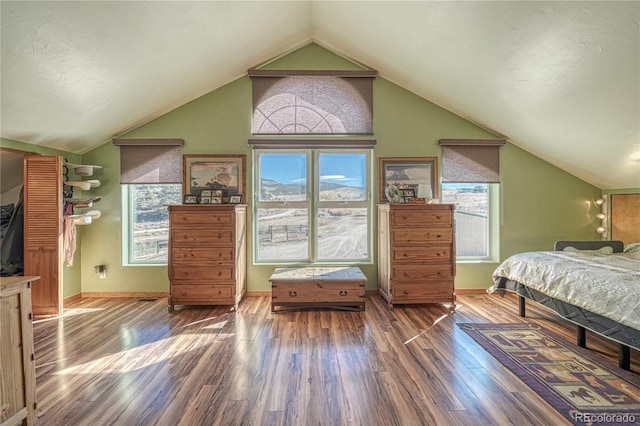 1120 County Road 322, Westcliffe, CO 81252 - bedroom featuring vaulted ceiling, wood finished floors, and baseboards