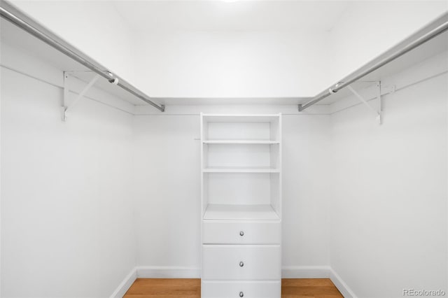 spacious closet featuring wood finished floors