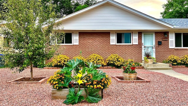 view of front facade featuring brick siding and roof with shingles