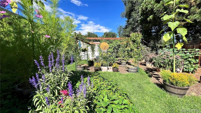 view of yard with fence and a garden