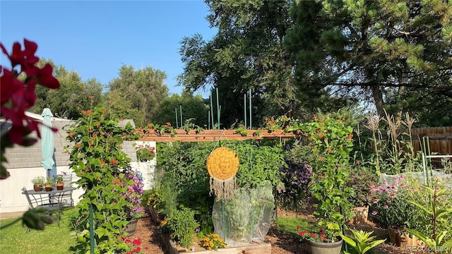 view of yard featuring a vegetable garden and fence