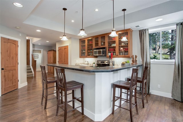 kitchen with kitchen peninsula, a kitchen bar, stainless steel appliances, a tray ceiling, and decorative light fixtures