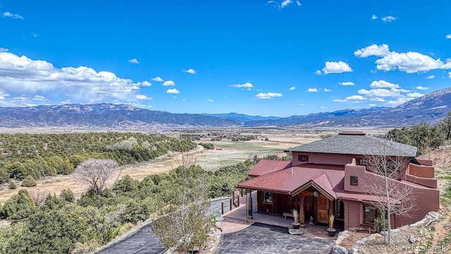 12220 Saddle Ridge Ln, Salida, CO 81201 - view of mountain background