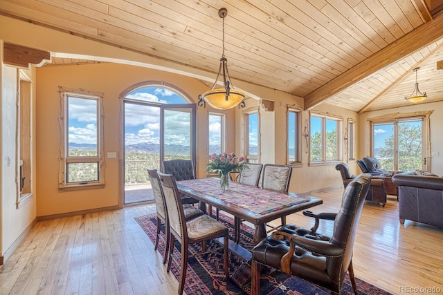 12220 Saddle Ridge Ln, Salida, CO 81201 - dining space with wooden ceiling, light wood finished floors, and baseboards
