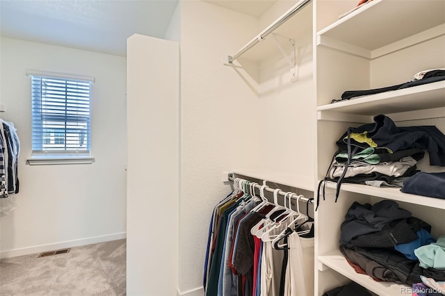 17570 E 95th Ave, Commerce City, CO 80022 - photo 18