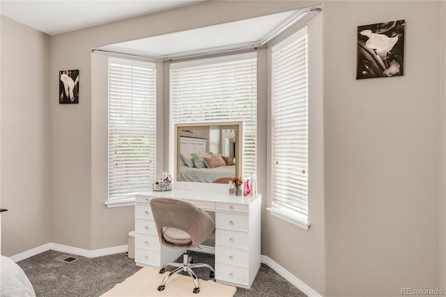 9904 Quintero St, Commerce City, CO 80022 - office featuring carpet floors and baseboards