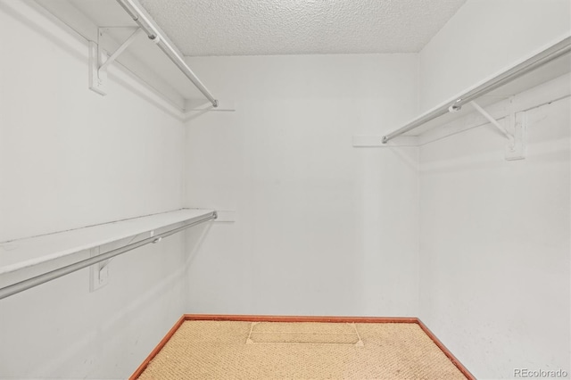 walk in closet with light colored carpet