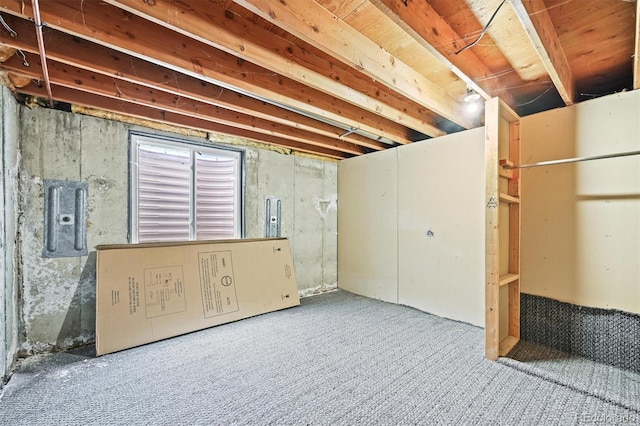 unfinished below grade area with carpet flooring