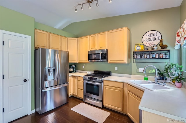 1201 Trout Creek Cir, Longmont, CO 80504 - kitchen featuring stainless steel appliances, light brown cabinetry, vaulted ceiling, light countertops, and dark wood-style flooring