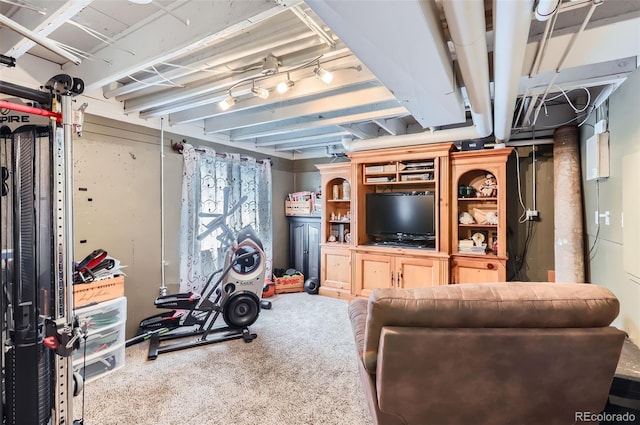 1201 Trout Creek Cir, Longmont, CO 80504 - exercise area with carpet