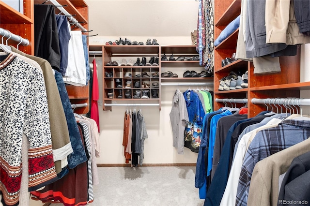 walk in closet with carpet