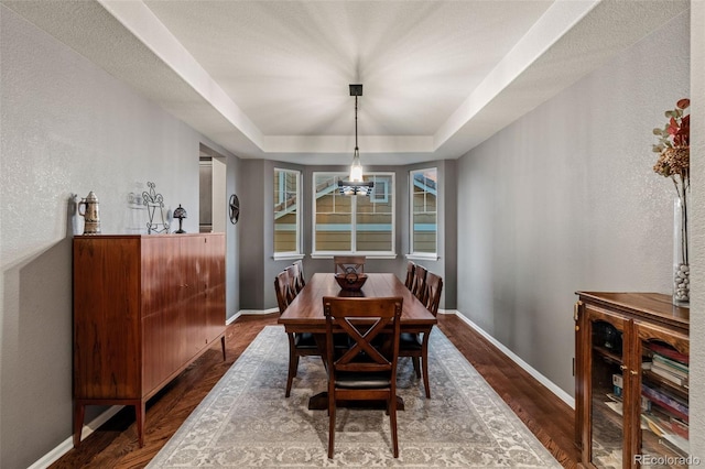 1609 S Catawba Cir, Aurora, CO 80018 - dining room with a tray ceiling, wood finished floors, and a textured wall